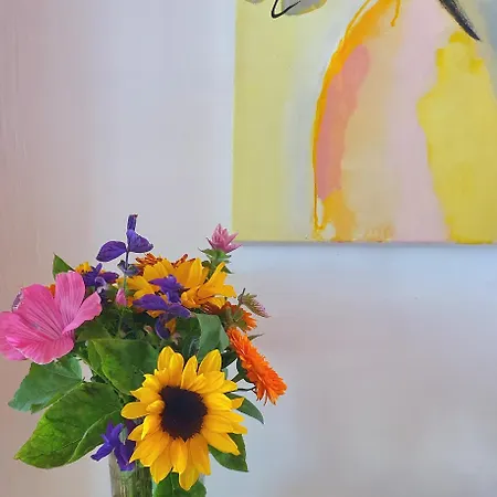 Inselhuus Windkieker 费马恩