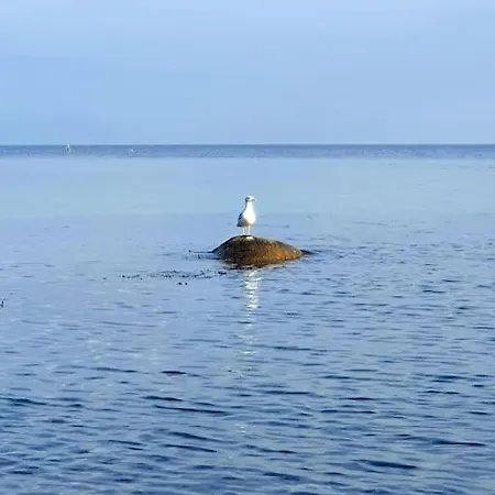 Inselhuus Windkieker Σπίτι διακοπών Φέμαρν